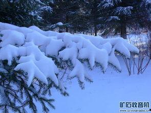 夏天的雪图片,雪中夏韵，穿越时空的视觉奇遇