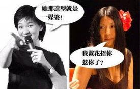 揭娱乐圈明星骂战,娱乐圈骂战风云录