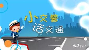 娱乐栏目板块,盘点热门栏目，解锁精彩瞬间